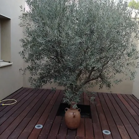 Les Trois Oliviers Bed & Breakfast Forcalquier